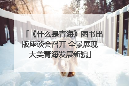 《什么是青海》图书出版座谈会召开 全景展现大美青海发展新貌