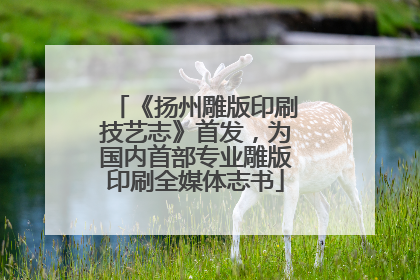 《扬州雕版印刷技艺志》首发，为国内首部专业雕版印刷全媒体志书
