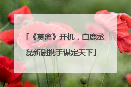 《莫离》开机，白鹿丞磊新剧携手谋定天下