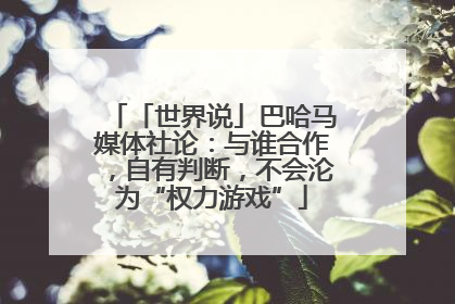 「世界说」巴哈马媒体社论：与谁合作，自有判断，不会沦为“权力游戏”