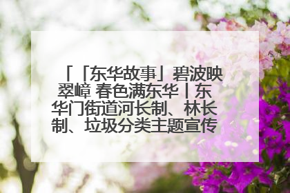 「东华故事」碧波映翠嶂 春色满东华丨东华门街道河长制、林长制、垃圾分类主题宣传如火如荼中