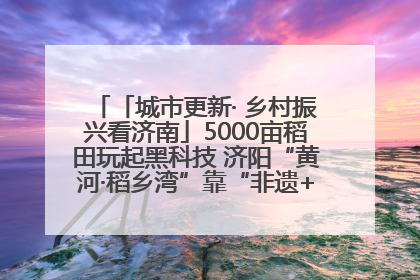 「城市更新· 乡村振兴看济南」5000亩稻田玩起黑科技 济阳“黄河·稻乡湾”靠“非遗+露营”火出圈
