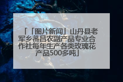 「图片新闻」山丹县老军乡蕃昌农副产品专业合作社每年生产各类玫瑰花产品500多吨