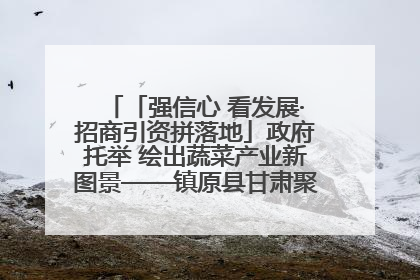 「强信心 看发展·招商引资拼落地」政府托举 绘出蔬菜产业新图景——镇原县甘肃聚广利现代设施蔬菜种植基地见闻