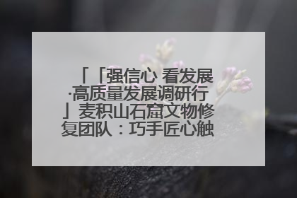 「强信心 看发展·高质量发展调研行」麦积山石窟文物修复团队：巧手匠心触摸“光阴的故事”