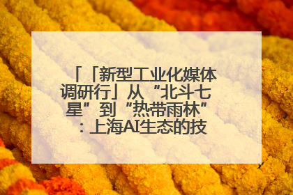 「新型工业化媒体调研行」从“北斗七星”到“热带雨林”：上海AI生态的技术商业共生密码