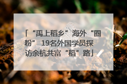 “禹上稻乡”海外“圈粉” 19名外国学员探访余杭共富“稻”路