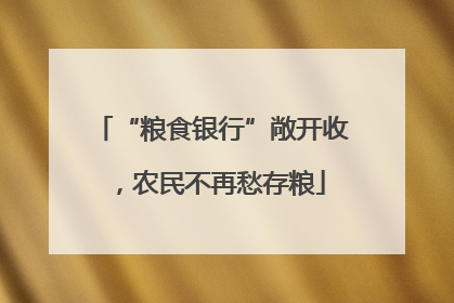 “粮食银行”敞开收，农民不再愁存粮