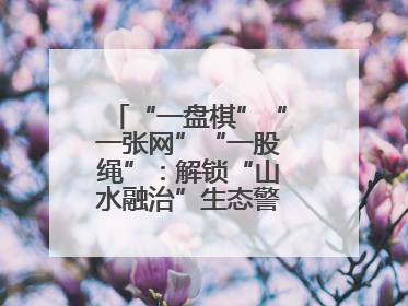 “一盘棋”“一张网”“一股绳”：解锁“山水融治”生态警务“密码”