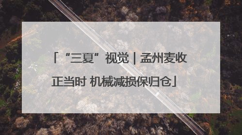 “三夏”视觉｜孟州麦收正当时 机械减损保归仓