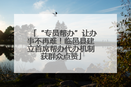 “专员帮办”让办事不再难！临邑县建立首席帮办代办机制获群众点赞