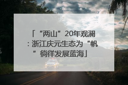 “两山”20年观澜：浙江庆元生态为“帆”徜徉发展蓝海