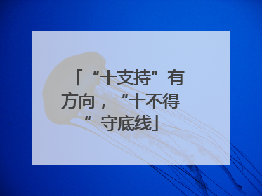 “十支持”有方向，“十不得”守底线