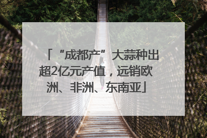 “成都产”大蒜种出超2亿元产值，远销欧洲、非洲、东南亚