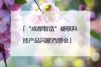 “成都智造”硬核科技产品闪耀西博会
