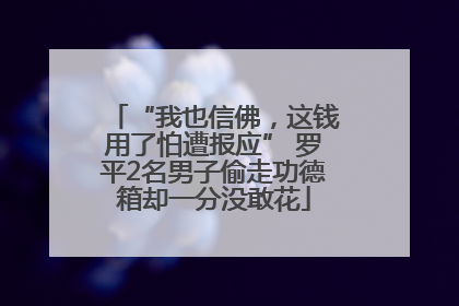 “我也信佛，这钱用了怕遭报应” 罗平2名男子偷走功德箱却一分没敢花