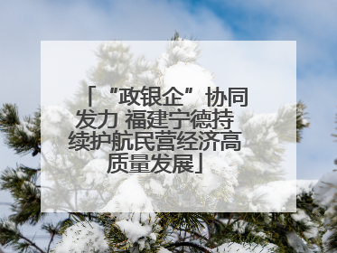 “政银企”协同发力 福建宁德持续护航民营经济高质量发展