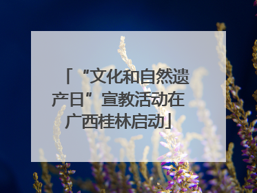 “文化和自然遗产日”宣教活动在广西桂林启动