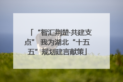 “智汇荆楚·共建支点” 我为湖北“十五五”规划建言献策