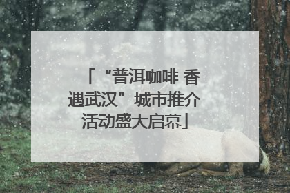 “普洱咖啡 香遇武汉”城市推介活动盛大启幕