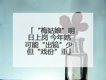 “梅姑娘”明日上岗 今年她可能“出镜”少但“戏份”重