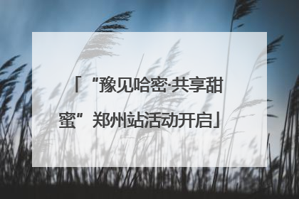 “豫见哈密·共享甜蜜”郑州站活动开启