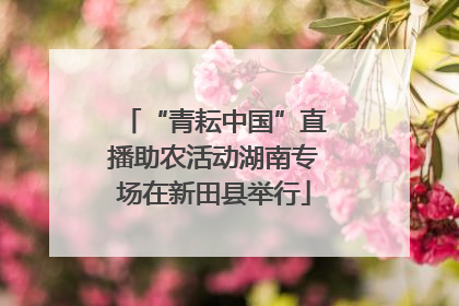 “青耘中国”直播助农活动湖南专场在新田县举行