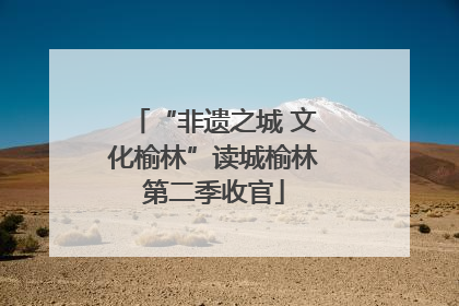 “非遗之城 文化榆林”读城榆林第二季收官