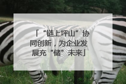 “链上坪山”协同创新，为企业发展充“储”未来