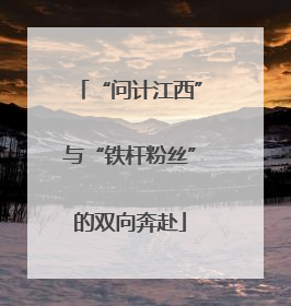 “问计江西”与“铁杆粉丝”的双向奔赴