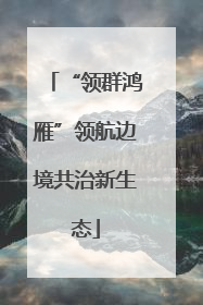 “领群鸿雁”领航边境共治新生态