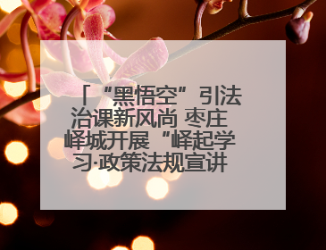 “黑悟空”引法治课新风尚 枣庄峄城开展“峄起学习·政策法规宣讲面对面”活动