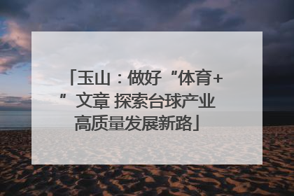 玉山：做好“体育+”文章 探索台球产业高质量发展新路