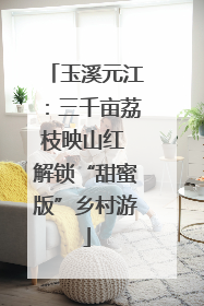 玉溪元江：三千亩荔枝映山红 解锁“甜蜜版”乡村游