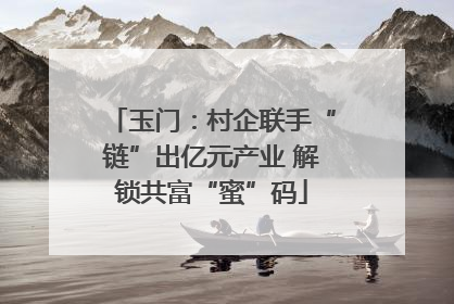 玉门：村企联手“链”出亿元产业 解锁共富“蜜”码