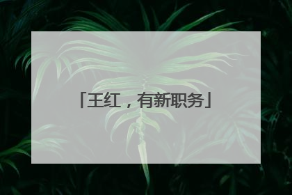 王红，有新职务