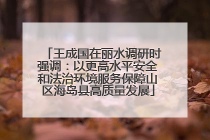 王成国在丽水调研时强调：以更高水平安全和法治环境服务保障山区海岛县高质量发展