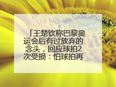 王楚钦称巴黎奥运会后有过放弃的念头，回应球拍2次受损：怕球拍再坏用副板练习