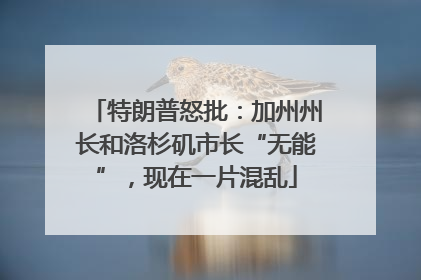特朗普怒批：加州州长和洛杉矶市长“无能”，现在一片混乱