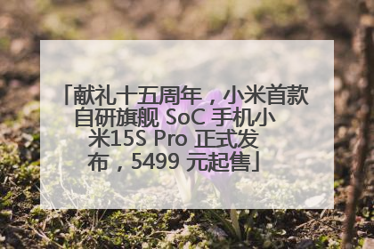 献礼十五周年，小米首款自研旗舰 SoC 手机小米15S Pro 正式发布，5499 元起售
