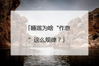 睡莲为啥“作息”这么规律？