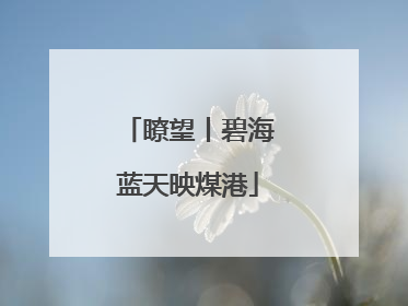 瞭望丨碧海蓝天映煤港