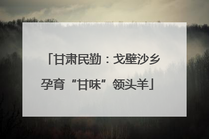 甘肃民勤：戈壁沙乡孕育“甘味”领头羊