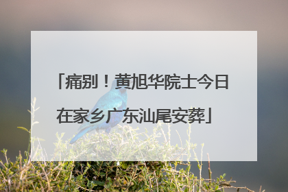 痛别！黄旭华院士今日在家乡广东汕尾安葬