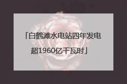 白鹤滩水电站四年发电超1960亿千瓦时