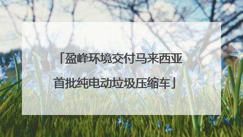 盈峰环境交付马来西亚首批纯电动垃圾压缩车