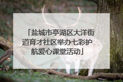 盐城市亭湖区大洋街道育才社区举办七彩护航爱心课堂活动