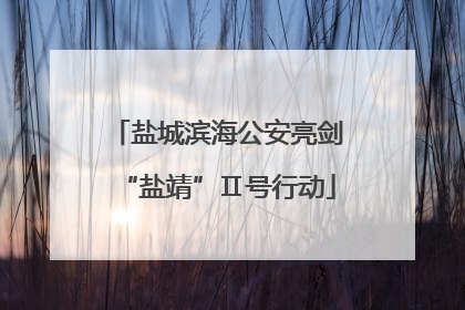 盐城滨海公安亮剑“盐靖”Ⅱ号行动