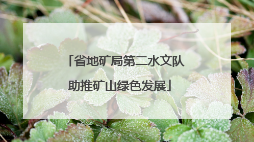 省地矿局第二水文队助推矿山绿色发展