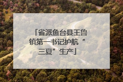 省派鱼台县王鲁镇第一书记护航“三夏”生产